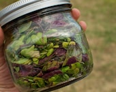 Organic Basil Seed Collection - Mixed Basil Varieties for your Organic Herb Garden