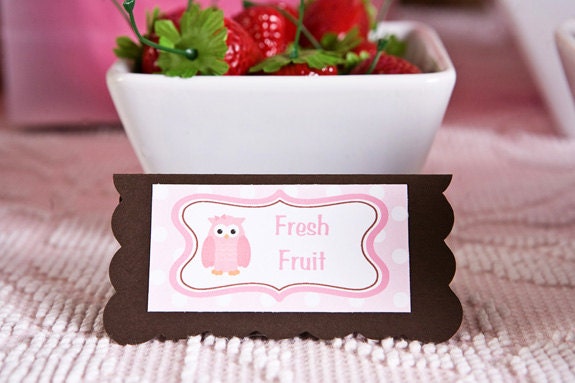 Owl Theme Food Tents - Menu Cards - Place Cards - Food Signs - Owl Party & Shower Decorations in Pink and Brown (6)