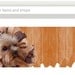 Lion Dog Costume - Pet Halloween Costume