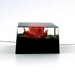 Red Globe Amaranth set into Black Resin Cube.  Elegant Contemporary Jewelry.  Black Botanical Resin Necklace.  Unique Unusual Real Flower.
