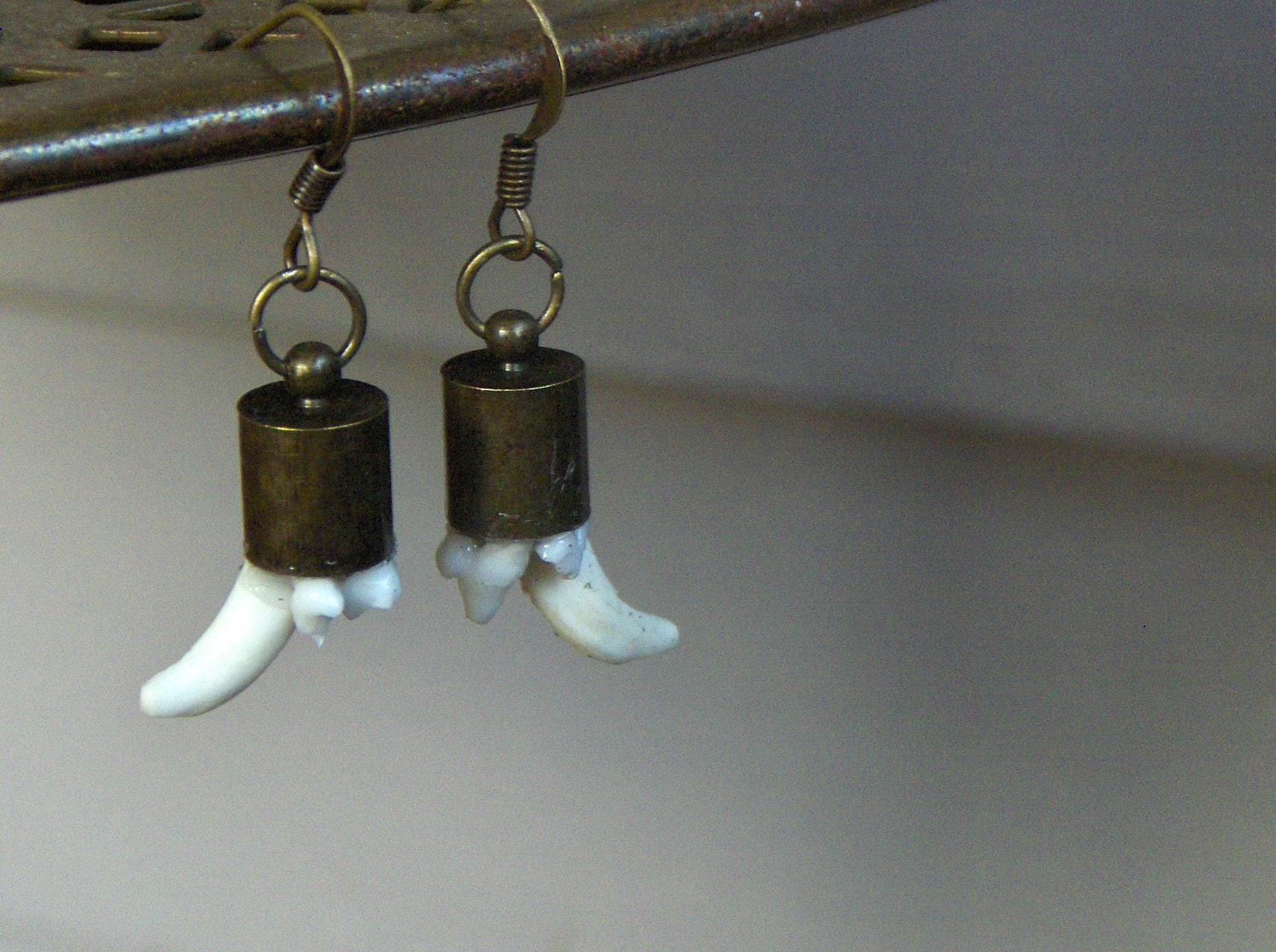 Tooth Garden No.2.  Tiny Red Fox Teeth earrings
