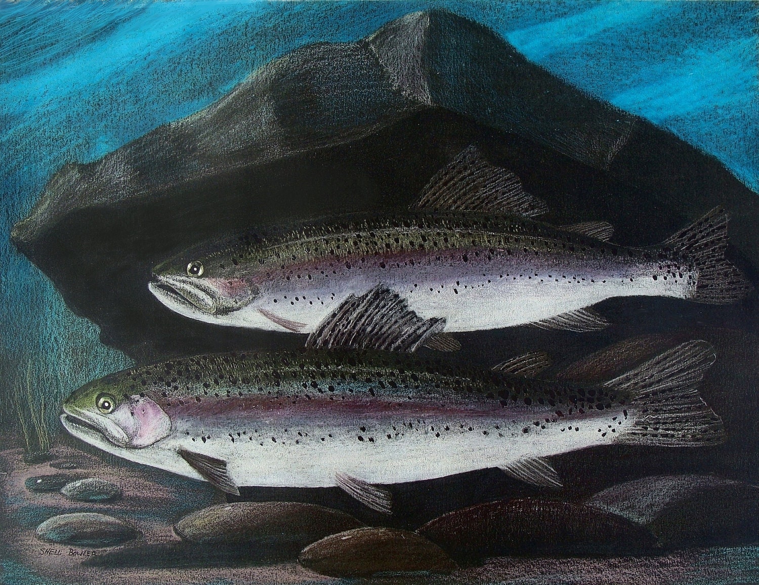 FATHERS DAY -Rainbow Trout  8x 10 Giclee Print
