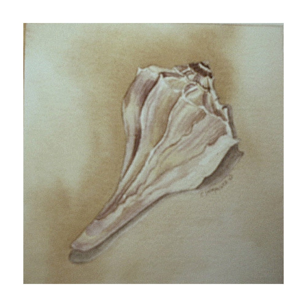 Shell 1- Limited Edition Giclee