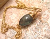 Moss Aquamarine Briolette Necklace in 14kt Gold Fill -14kt Gold Fill Rope Chain included