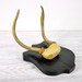 RESERVED /// Vintage Mounted Deer Antlers