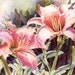 Lilies, ACEO, watercolor print, flower, 367 Florida Hot Lillies, lily coral, orange