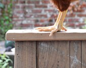 Reclaimed Cypress Chicken Coop