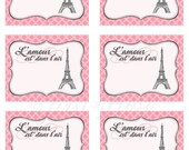 Printable Favor Tags/Cards - French Themed Eiffel Tower Paris Party Il_170x135