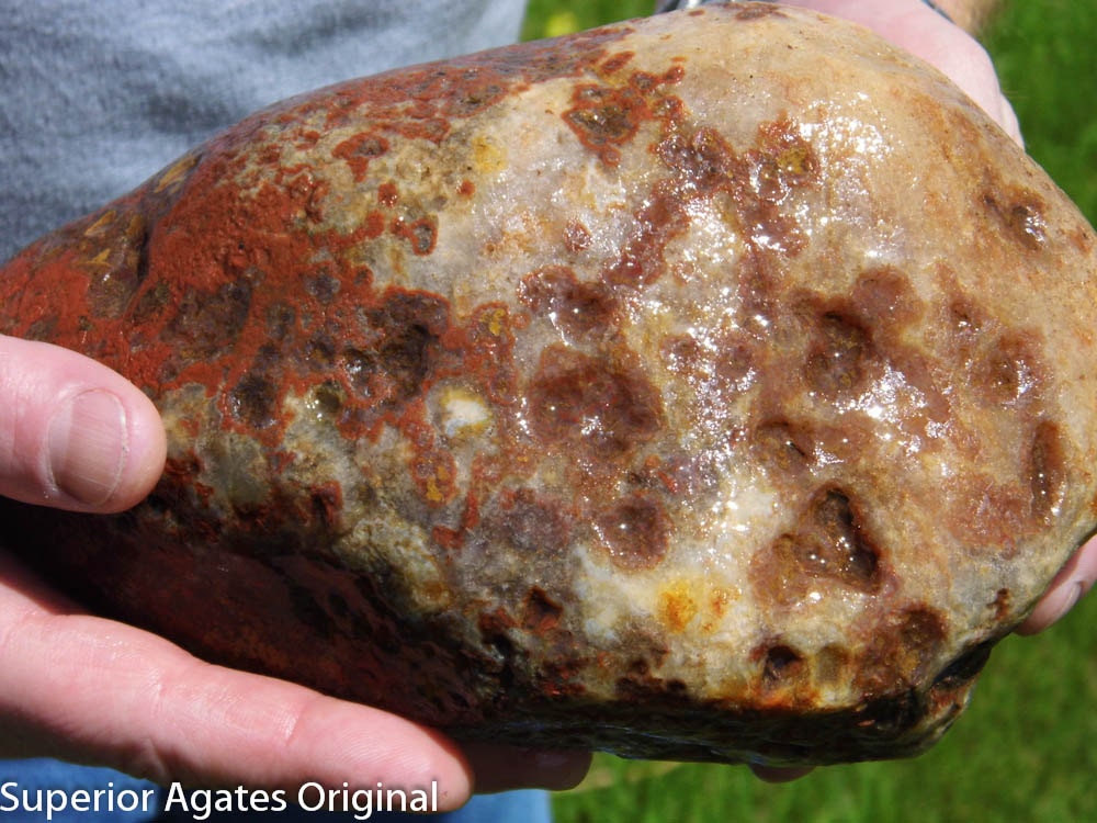 9 LB Lake Superior Amygdaloid Agate Collectable Specimen
