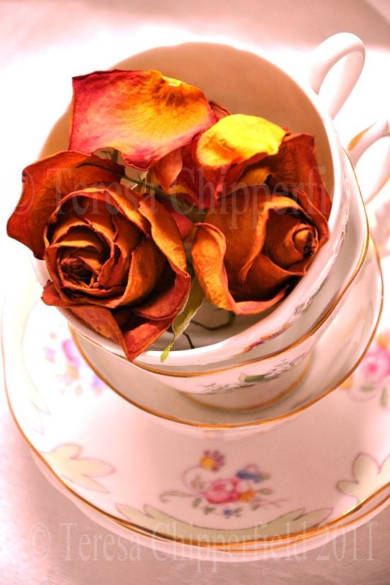 Fine Art Digital Photography "Past Pleasures" - China Teacups and Fading Roses - 8 x 12  Photo Print - A spot of Tea - Lovely Home Decor