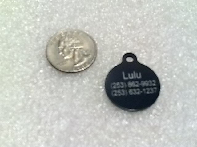 Laser Engraved Pet ID Tag -- Medium Round (1.0  INCH) w-Tab shape -- 2-sided  (Made in the USA)