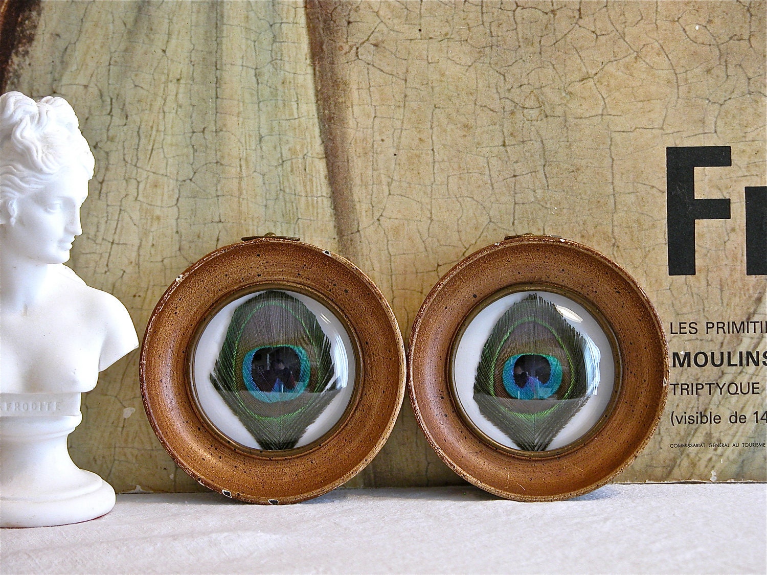 Framed Peacock Feathers - Set of Two