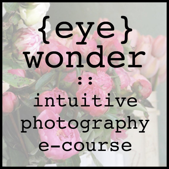 photography e-course   (eye) wonder : intuitive photography for everyday people
