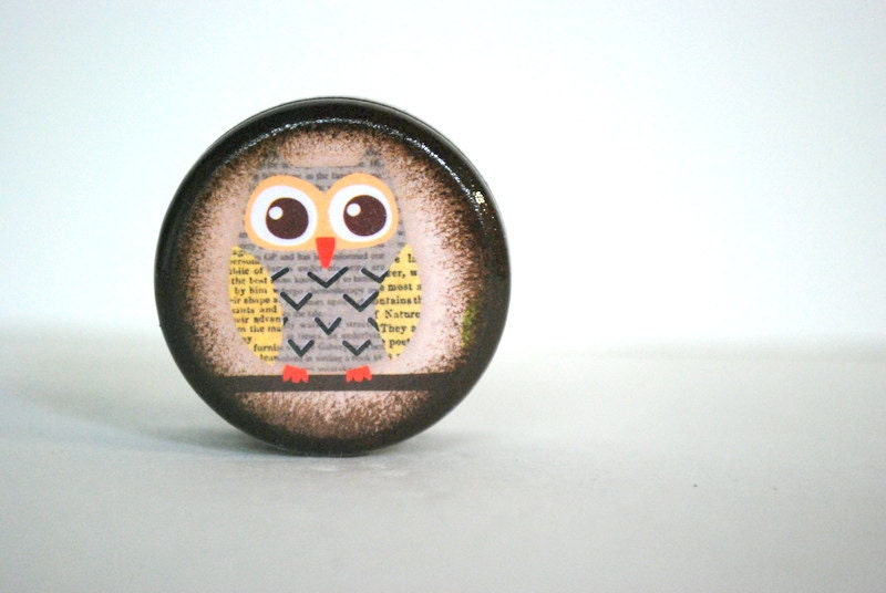 Little Owl Pill Box