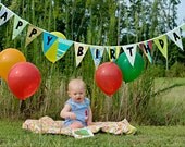 Custom Made Fabric - Cloth Banner Bunting Pennant  reusable washable