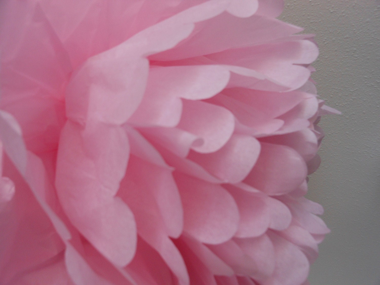 Tissue Poms- Light Pink .....(5) Large 12" Il_570xn
