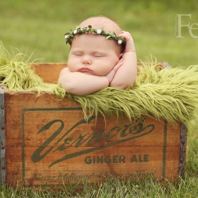 Heaven sent Portrait in a Box prop collection Newborn Woodland Halo .
