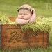 Heaven sent Portrait in a Box prop collection Newborn Woodland Halo .