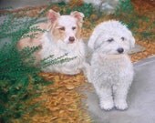 Sophie and Ellie, 8x10 digital print
