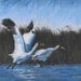 Taking Flight, Whooping Cranes, Original Pastel