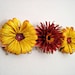 Jewelry display - Red and Yellow Spring Flowers - repurposed from scrap wood by Lolailo