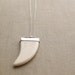 Claw Pendant on Sterling Silver Chain