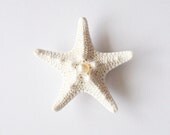 Starfish Pearl Barrette Bridal Starfish Hair Clip Beach Wedding Hair Accessories Starfish Accessories Mermaid Hair Accessories Cute Adorabe