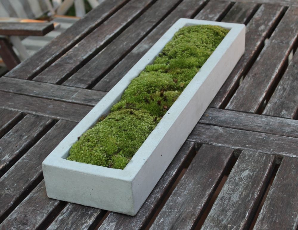Long Concrete Tray
