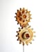 Lollipop Gears -48 Small Size Only
