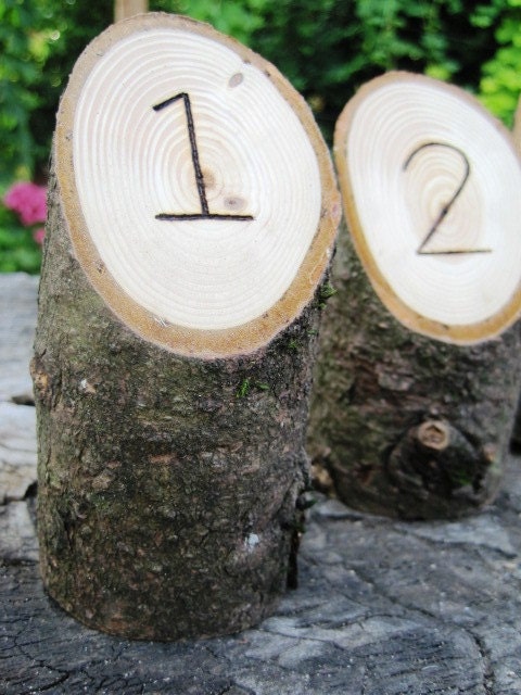 5 Tall Engraved Table Numbers From a Fallen Tree