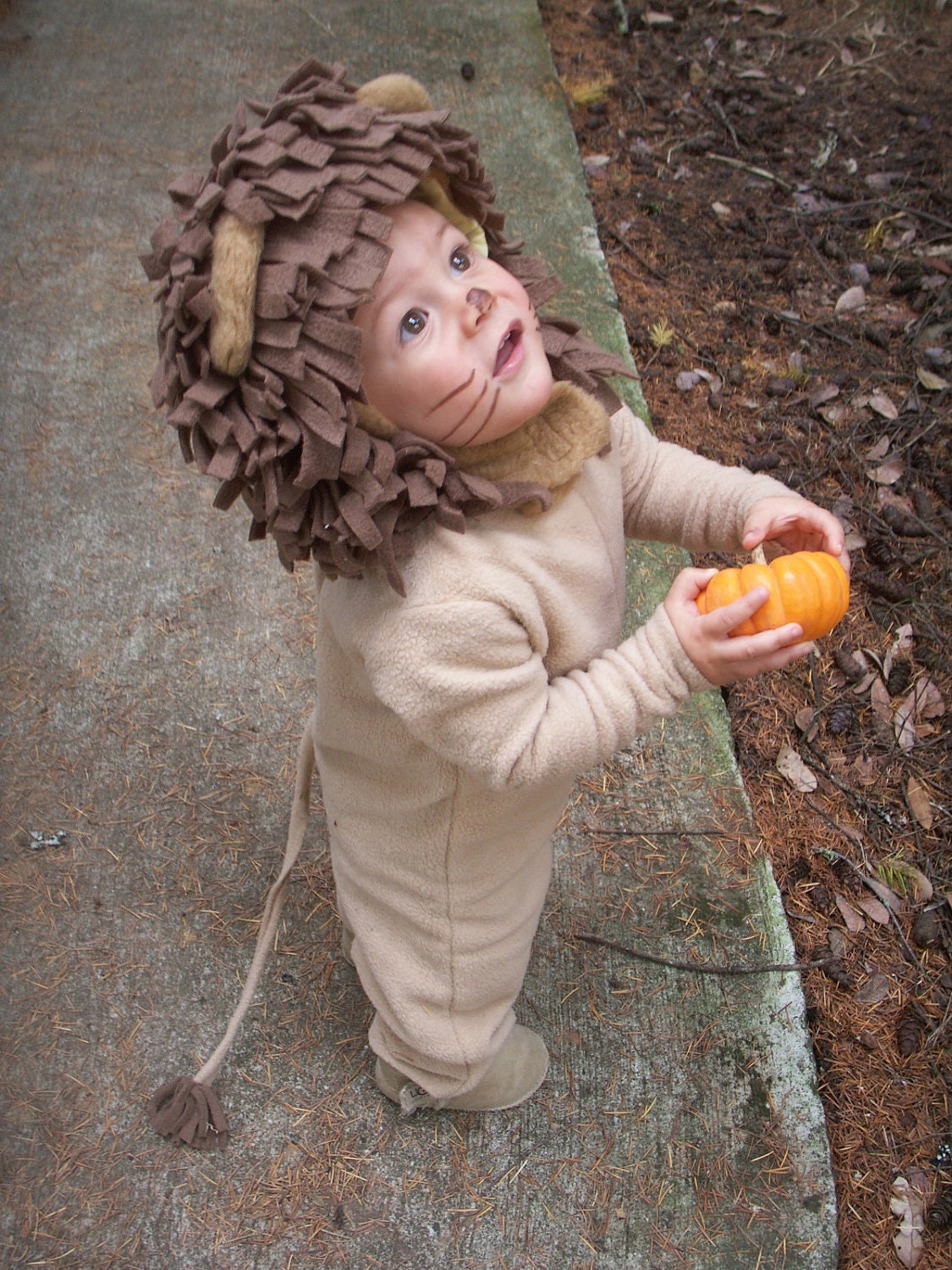Lion Halloween Costume for Kids, Boys or Girls, Toddler, Children, Unisex Il_570xn