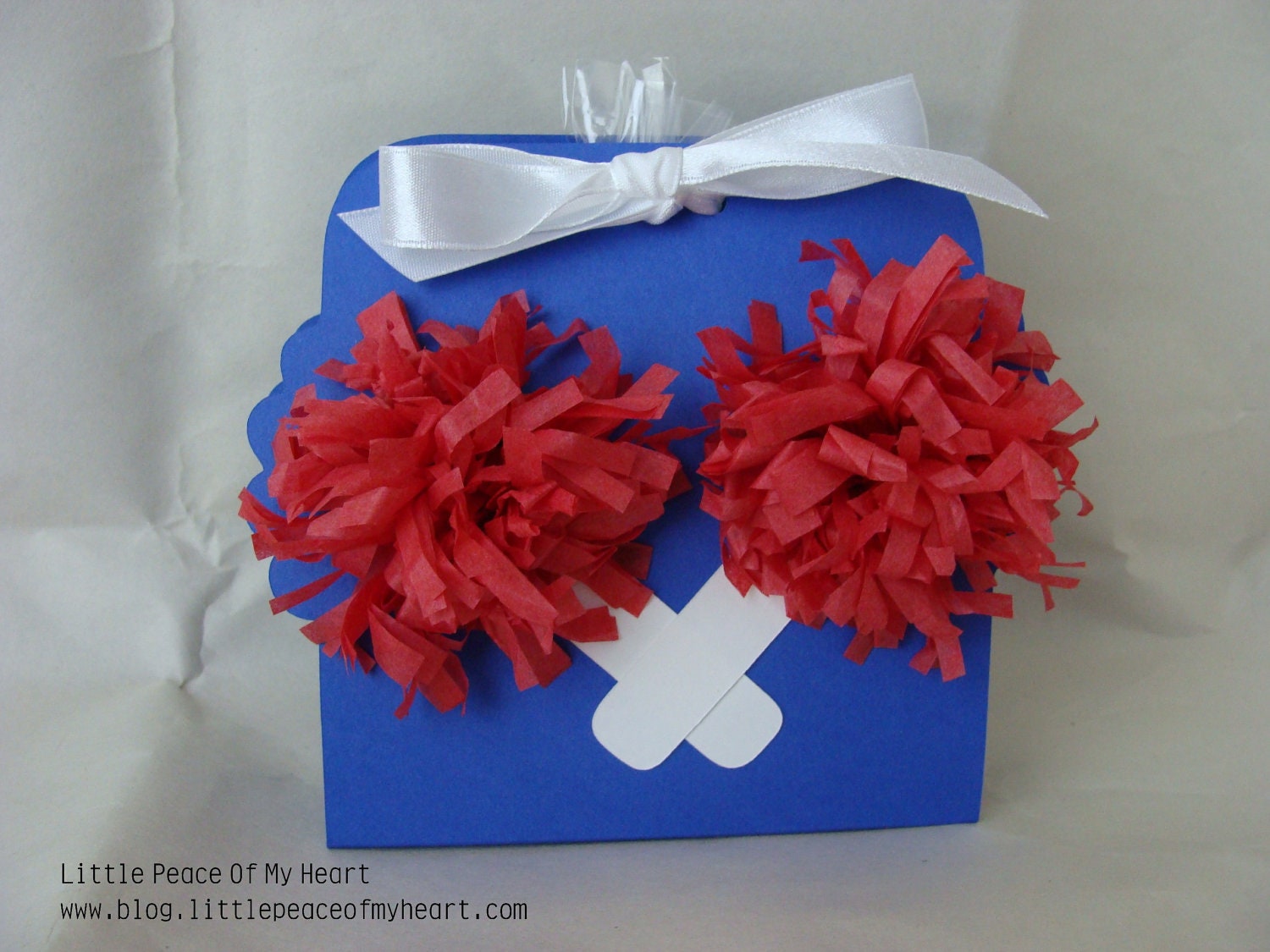 Pom Pom Gift Packaging (2) Small