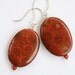 Fossilized Coral Earrings