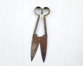 Vintage Sheep Shears Rusty And Shabby