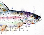 TROUT Watercolor Fish Print by Dean Crouser