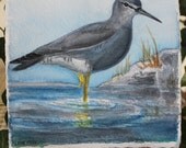 Bird Miniature Watercolor Painting: Wandering Tattler -Original with Mini Easel