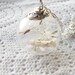 Dandelion Seed Necklace, Glass Globe with Message, Wish, Make a Wish, Message in a Bottle, Eco Friendly, Personalized Message