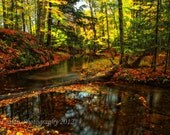 Forest river meanders through deep woods, calm, peaceful and serene, an 8 x 12 color print mounted on Single Weight Matboard