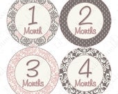 Monthly Onesie Stickers Baby Month Stickers - Elena - Sophisticated Posh Damask in Pink and Gray - Great Baby Shower Gift and Photo Prop