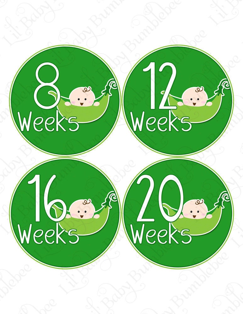 Pregnancy Stickers Baby Bump Belly Stickers - Erica - Cute Baby Pea in a Pod - Great Photo Prop for Expectant Moms Maternity