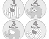 Monthly Onesie Baby Stickers - Taylor - Gray Polka Dots and Striped Elephants M2M PBK Nursery - Baby Month Stickers