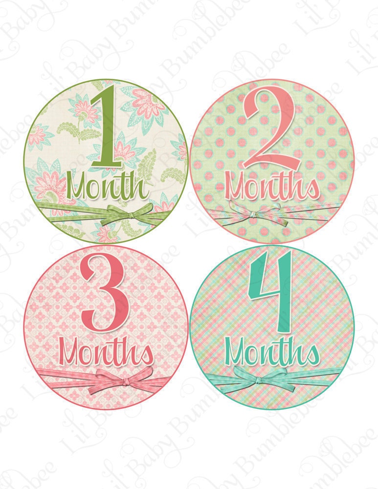 Monthly Onesie Stickers Baby Month Stickers - Ella - Shabby Chic Look with Bows - Great Baby Shower Gift and Photo Prop