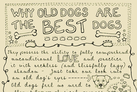 Why Old Dogs Are The Best Dogs - 8x10 ART PRINT - Beige Dog Art Print - Gift for Dog Lovers