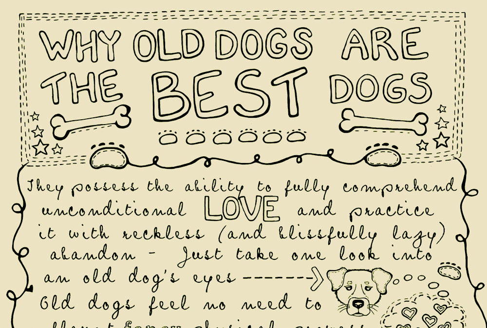 Why Old Dogs Are The Best Dogs - 8x10 ART PRINT - Beige Dog Art Print - Gift for Dog Lovers