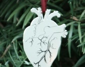 Anatomical Heart Ornament