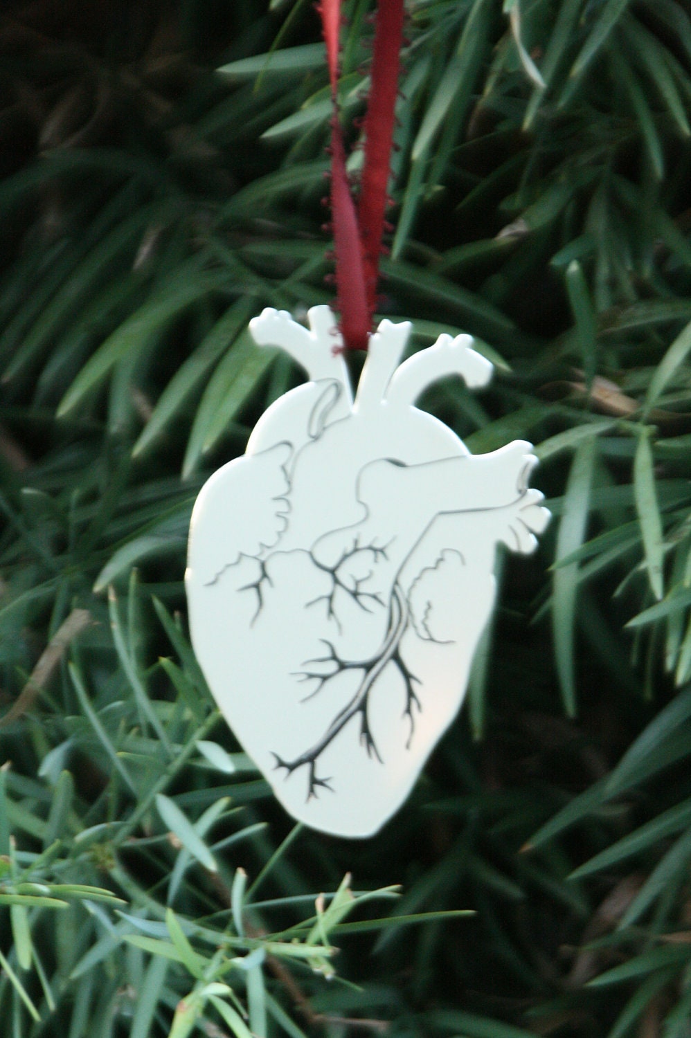 Anatomical Heart Ornament