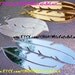 Laser Cut Acrylic Mirror Feather Earrings - FEATHER REFLECTIONS Silver