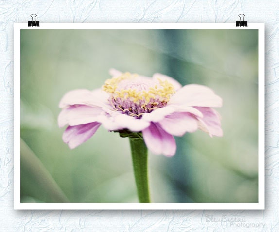 Flower photography, pink flower wall decor, nursery art decor, shabby chic decor, girls room decor, pastel pink, soft green