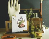 Terrarium Glass Case 1pc