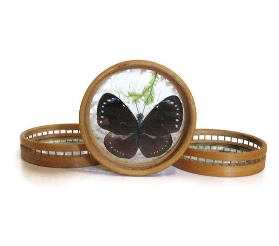 Set of Four Vintage Butterfly Coasters